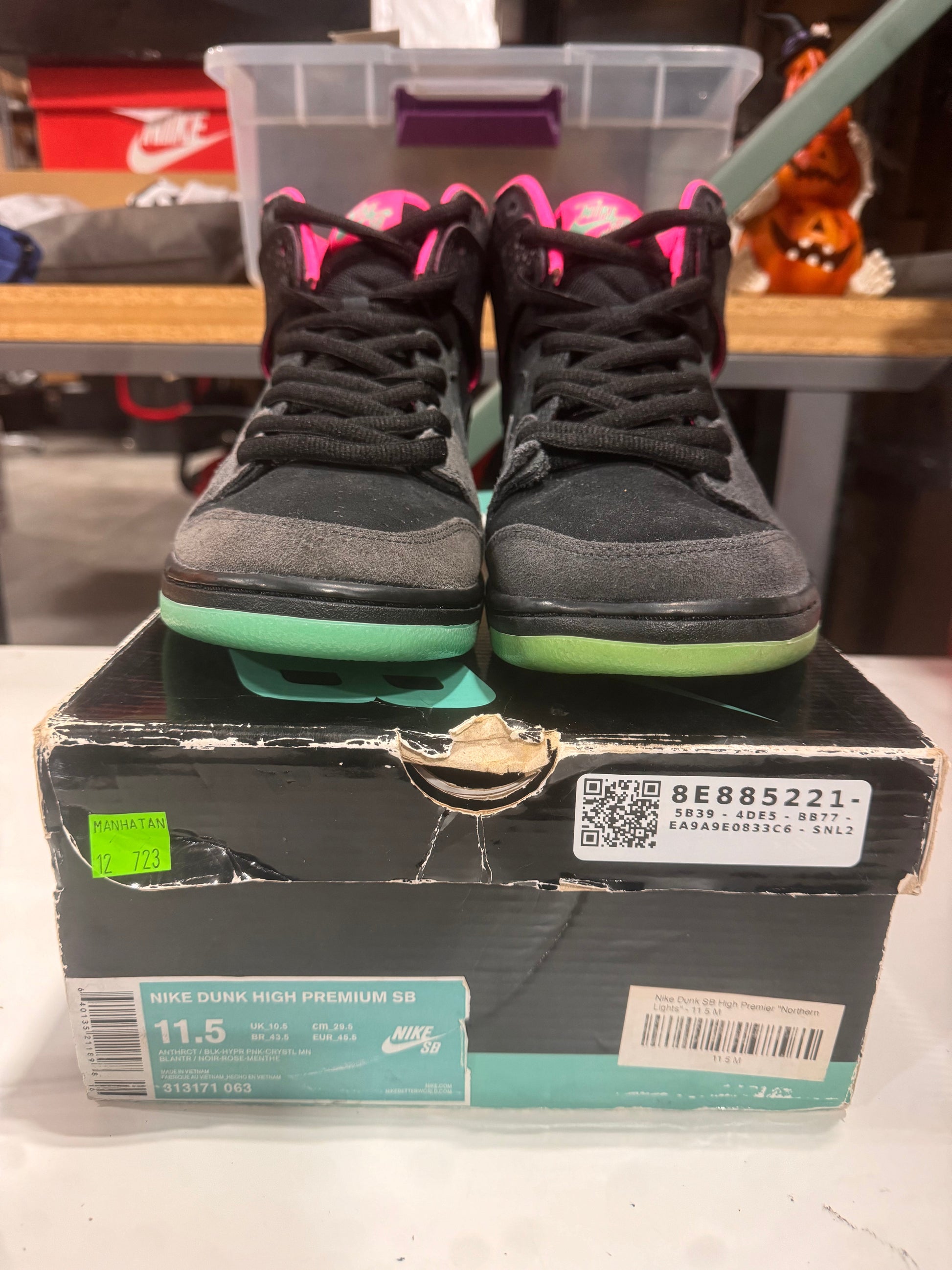 *Conditional* Nike SB Dunk High Premier Northern Lights DS