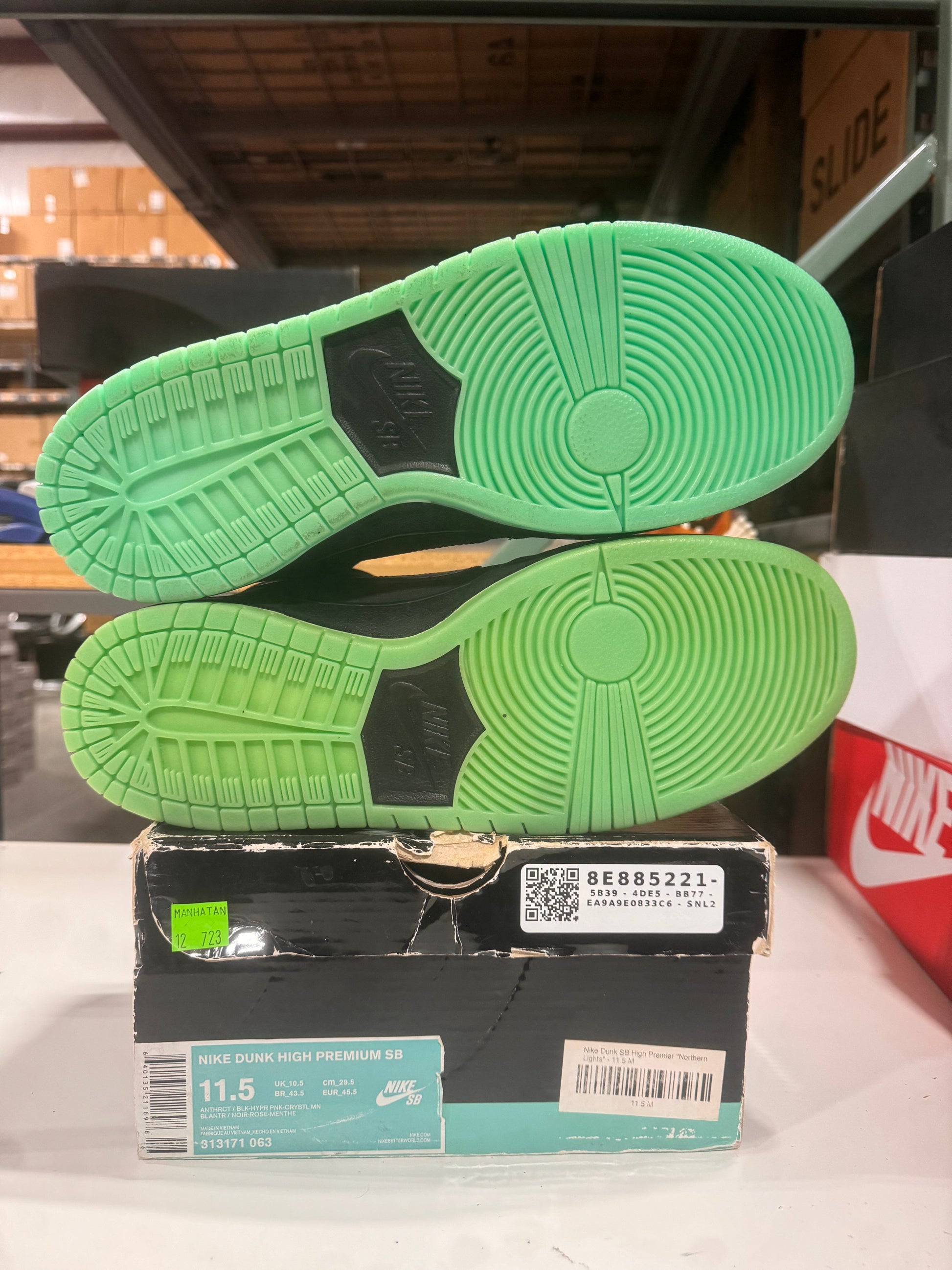 *Conditional* Nike SB Dunk High Premier Northern Lights DS