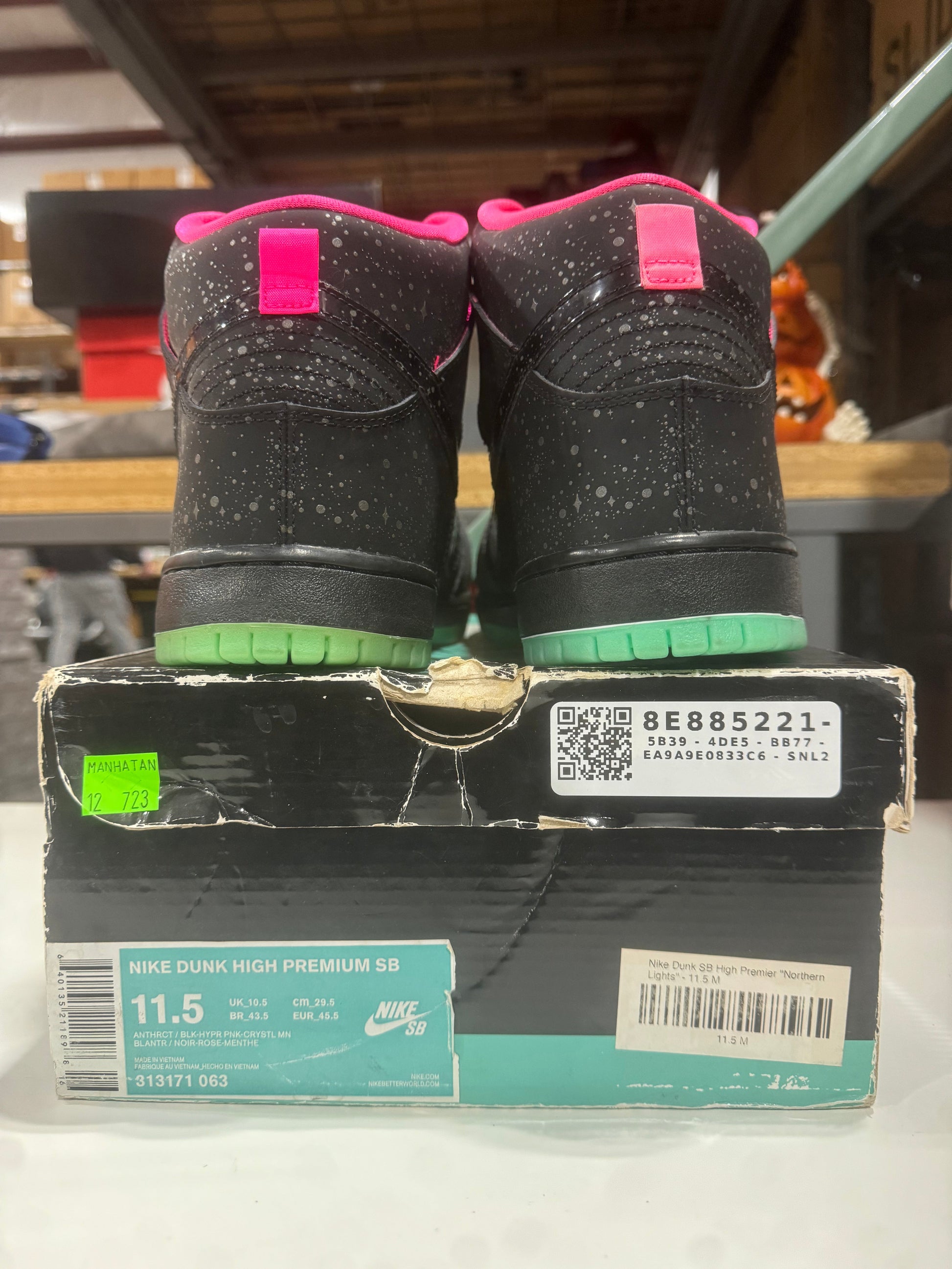 *Conditional* Nike SB Dunk High Premier Northern Lights DS